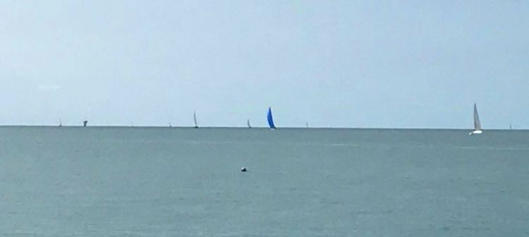 regata-pescara-vasto