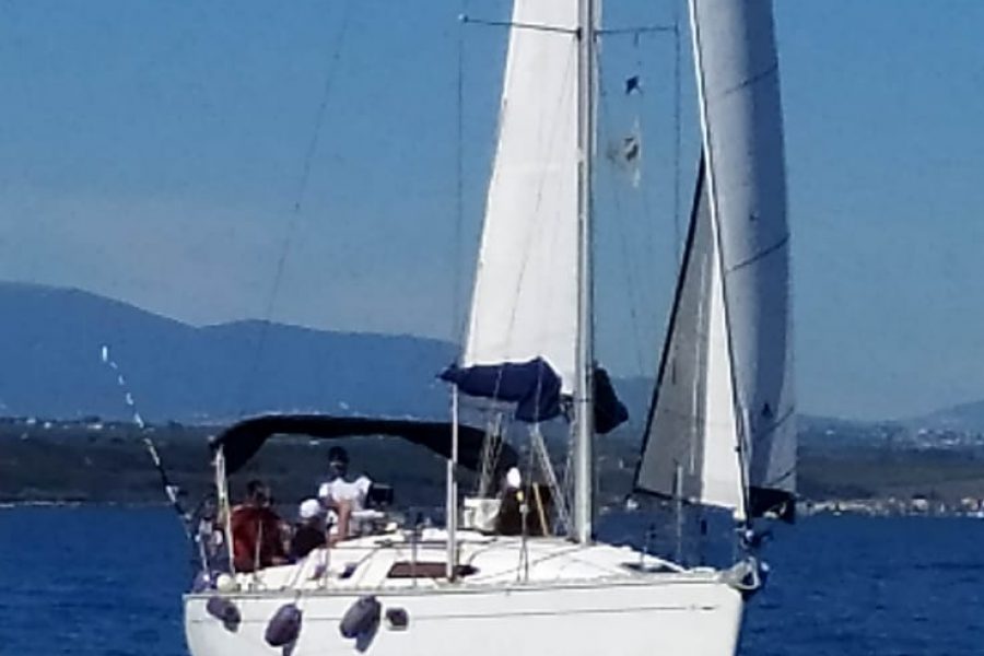 veleggiata di san michele 2022